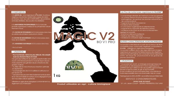 Magic V2 automne 1 KG