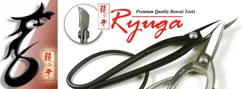 Ryuga Bonsaï Spatule avec pince à épiler 210 mm Acier Inoxydable 60882