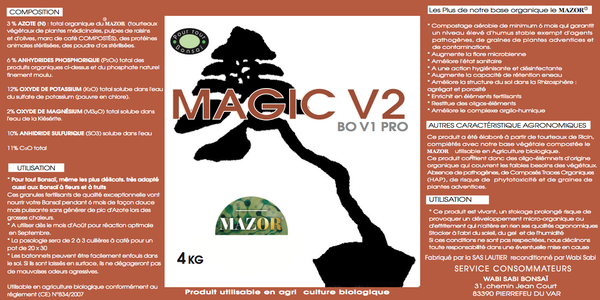 Magic V2 automne 4 KG